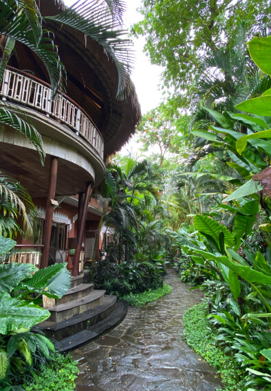 IMG_3843-2-1-compressed